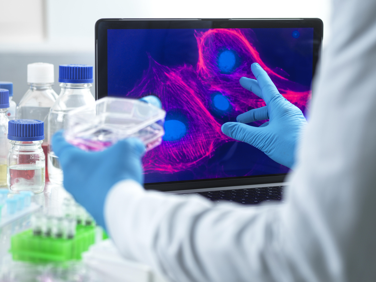 Microbiologist examining cells on device screen in laboratory