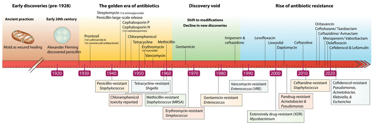Einführung neuer Antibiotika und Entdeckung von Resistenzen